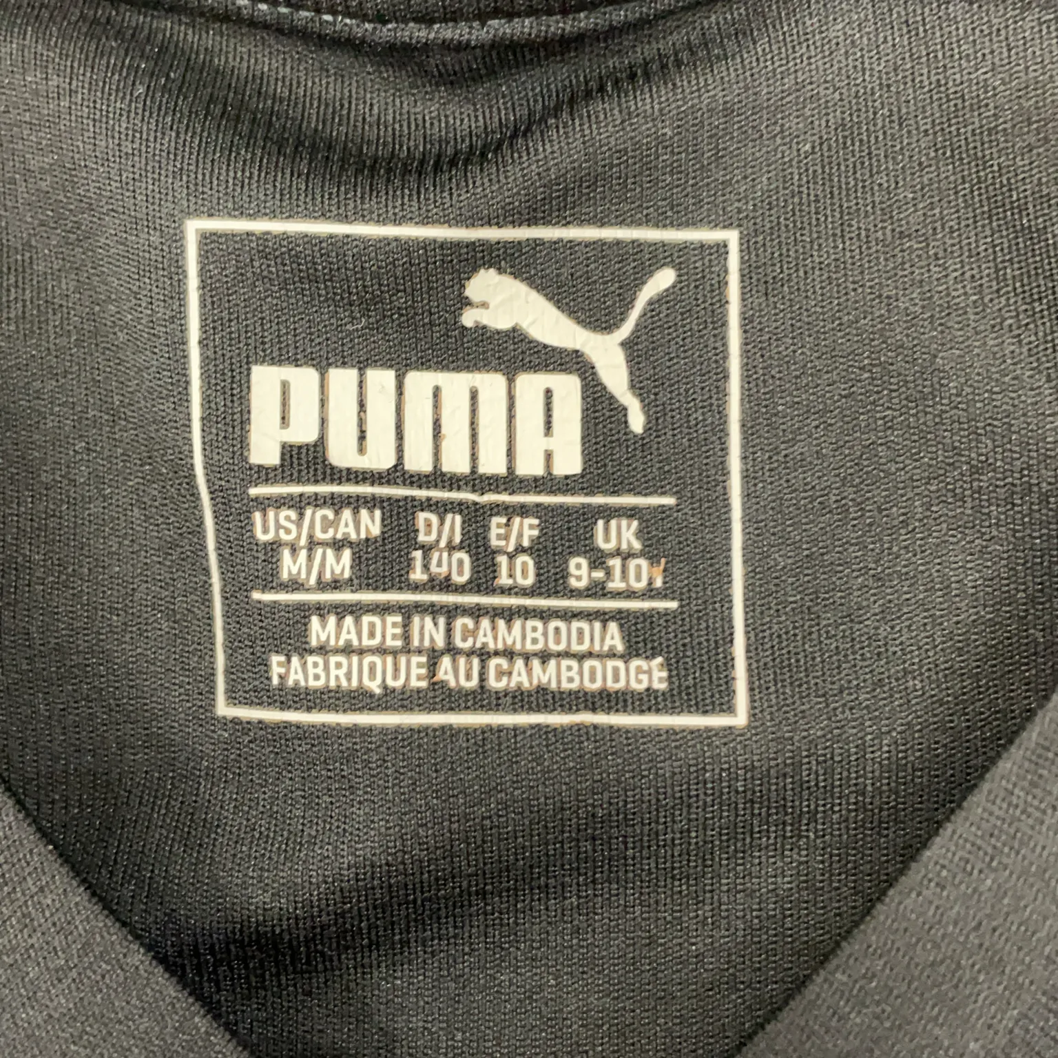 Puma - bild 3