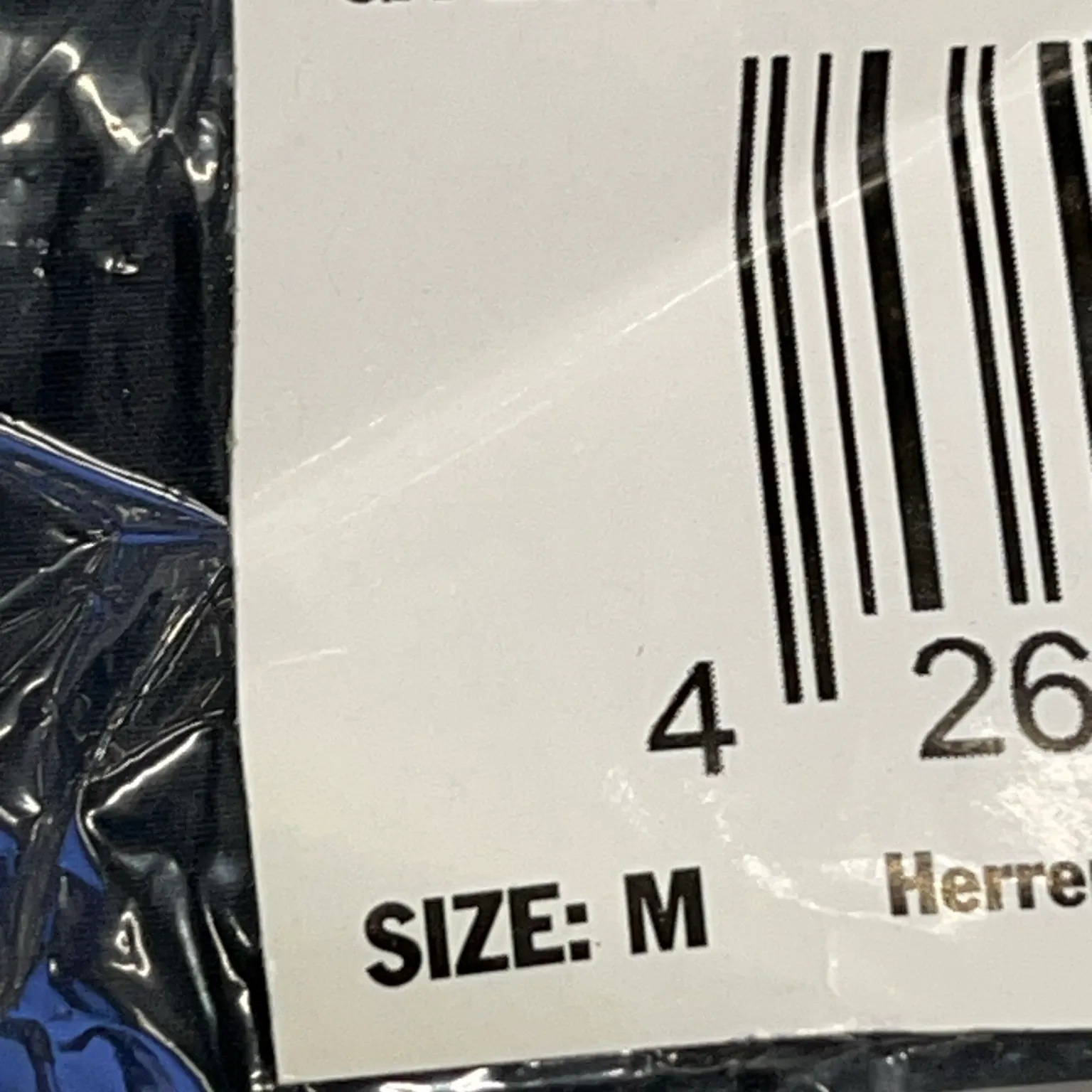 Gym Aesthetics - bild 4