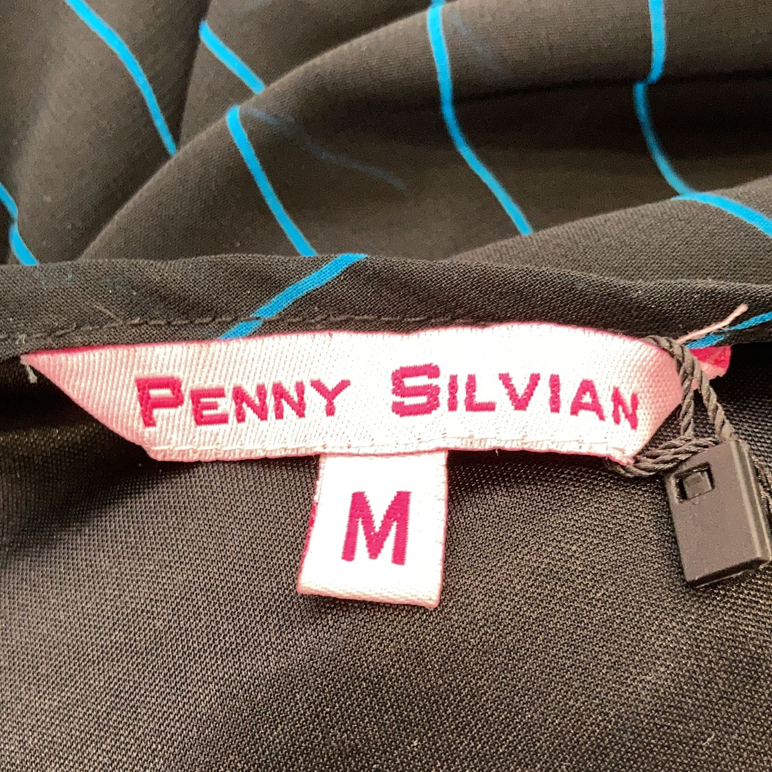 Penny Silvian