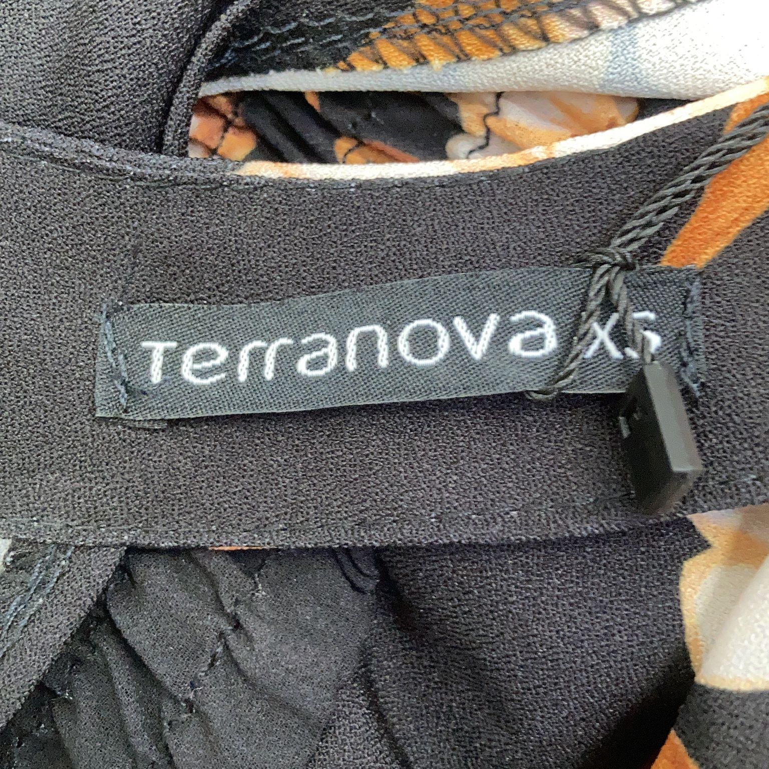 Terranova