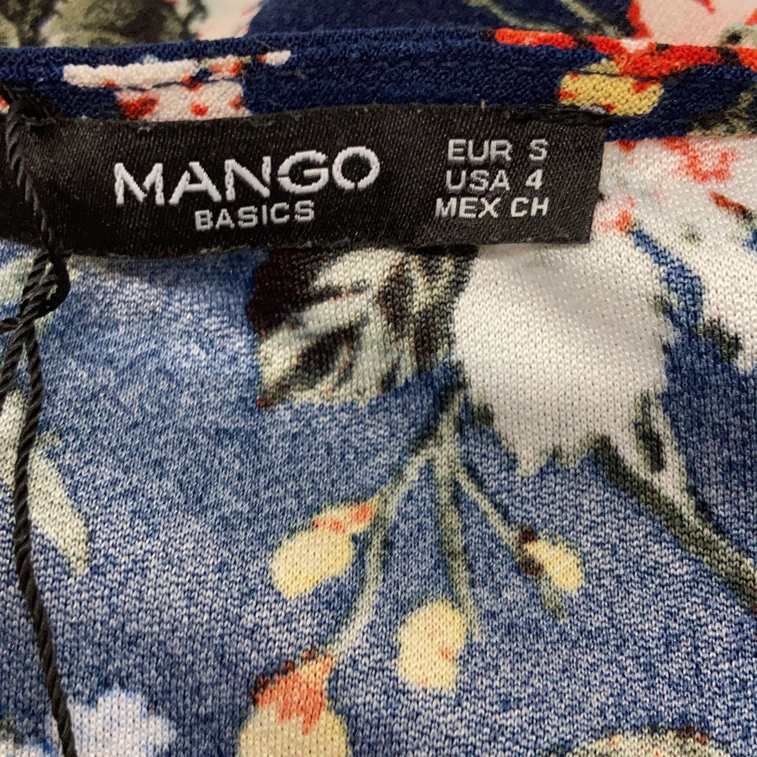 Mango Basics