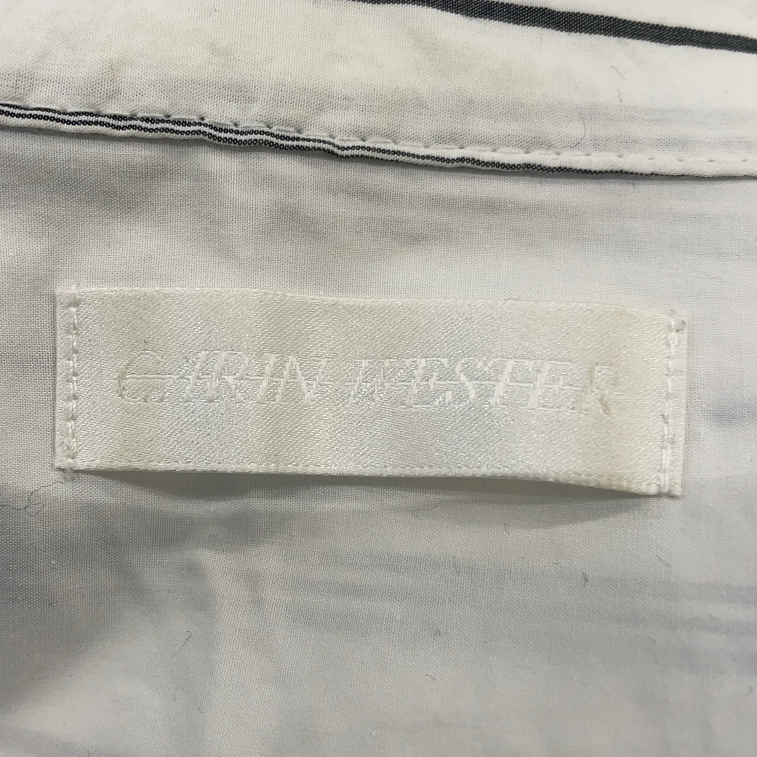 Carin Wester - bild 3