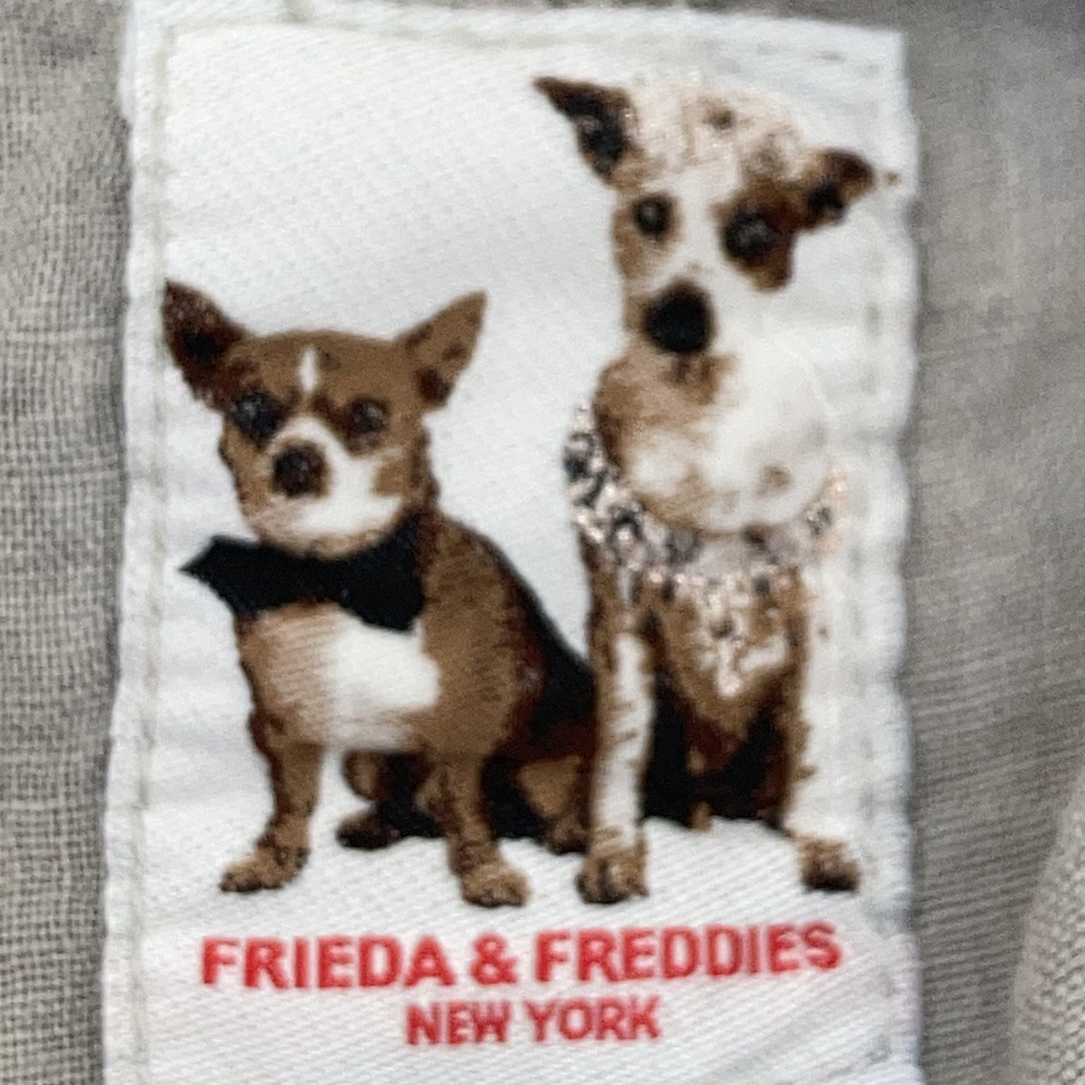 Frieda  Freddies