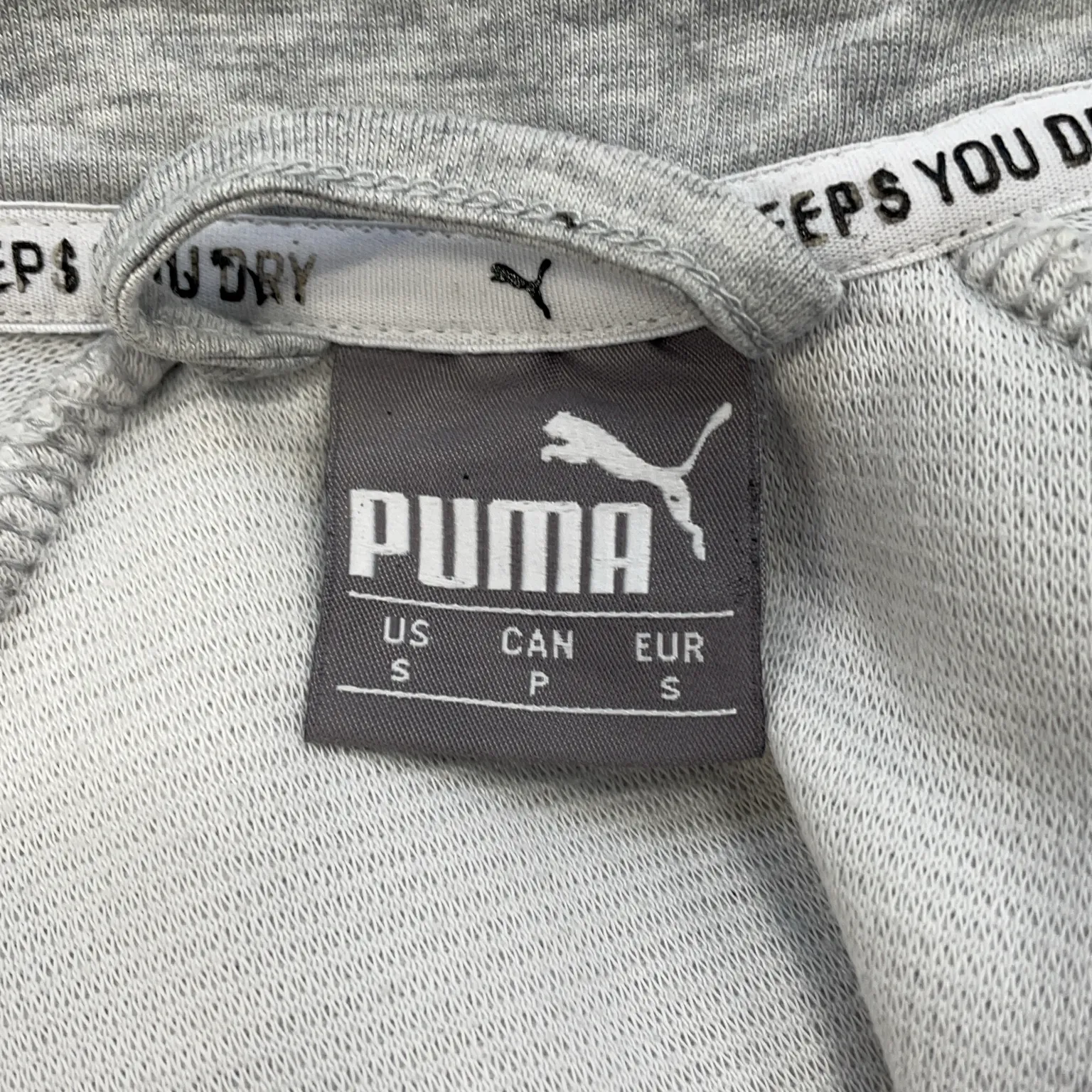 Puma - bild 3