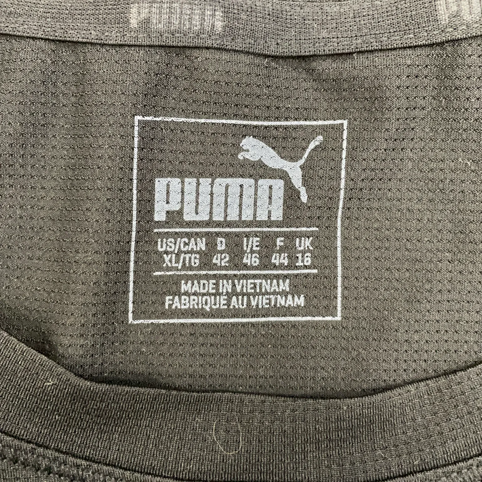 Puma - bild 3