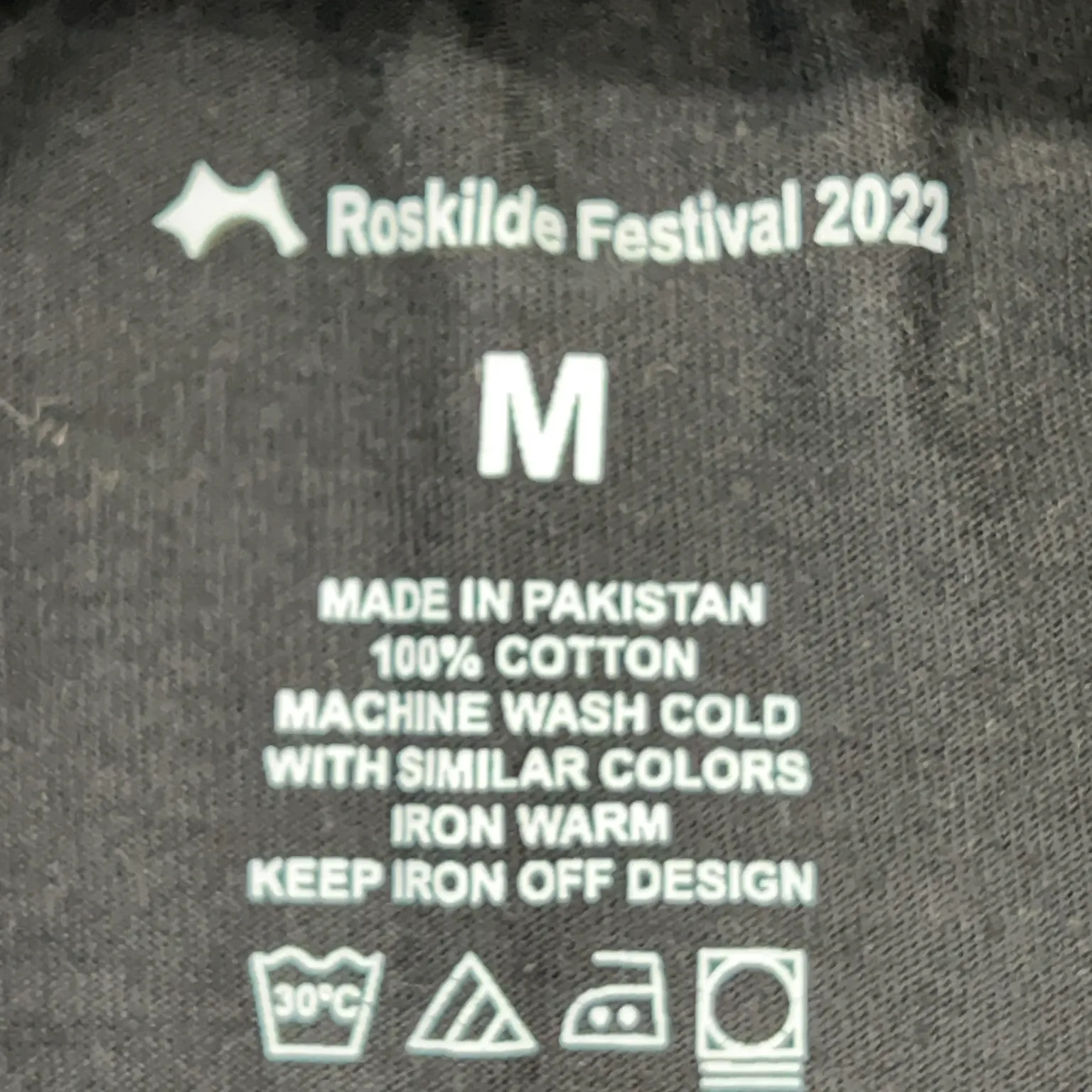 Roskilde Festival - bild 4