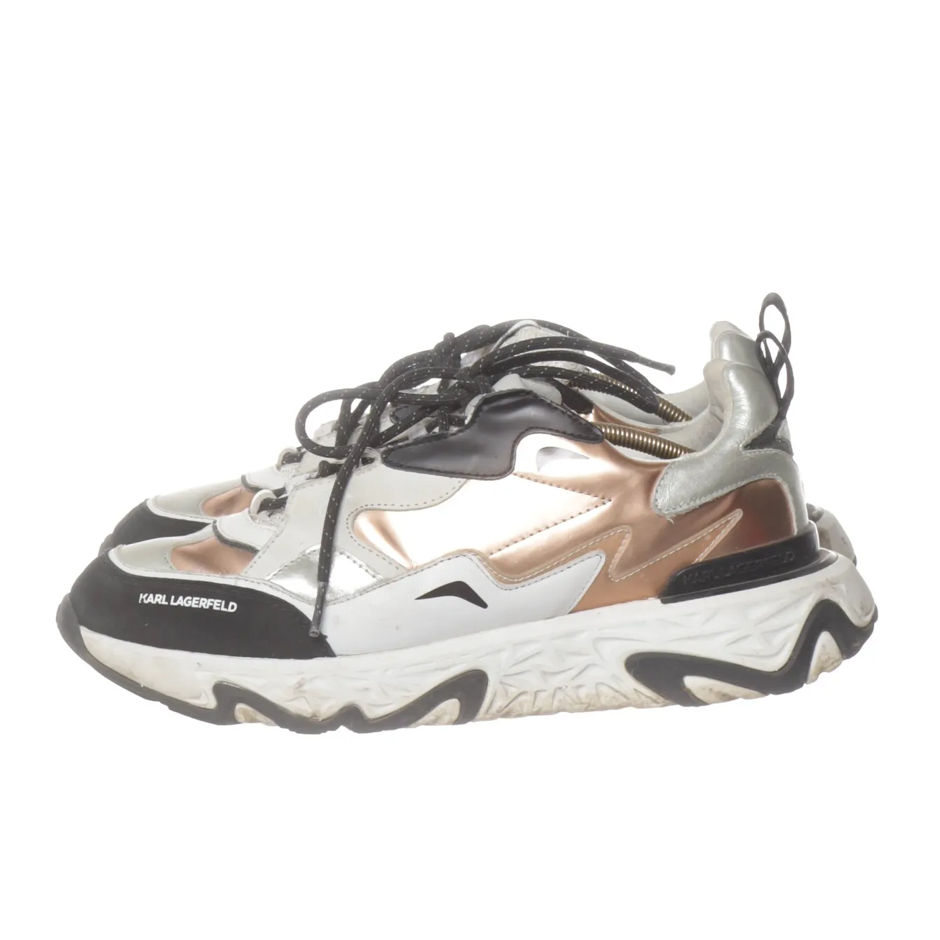 Karl Lagerfeld - bild 3