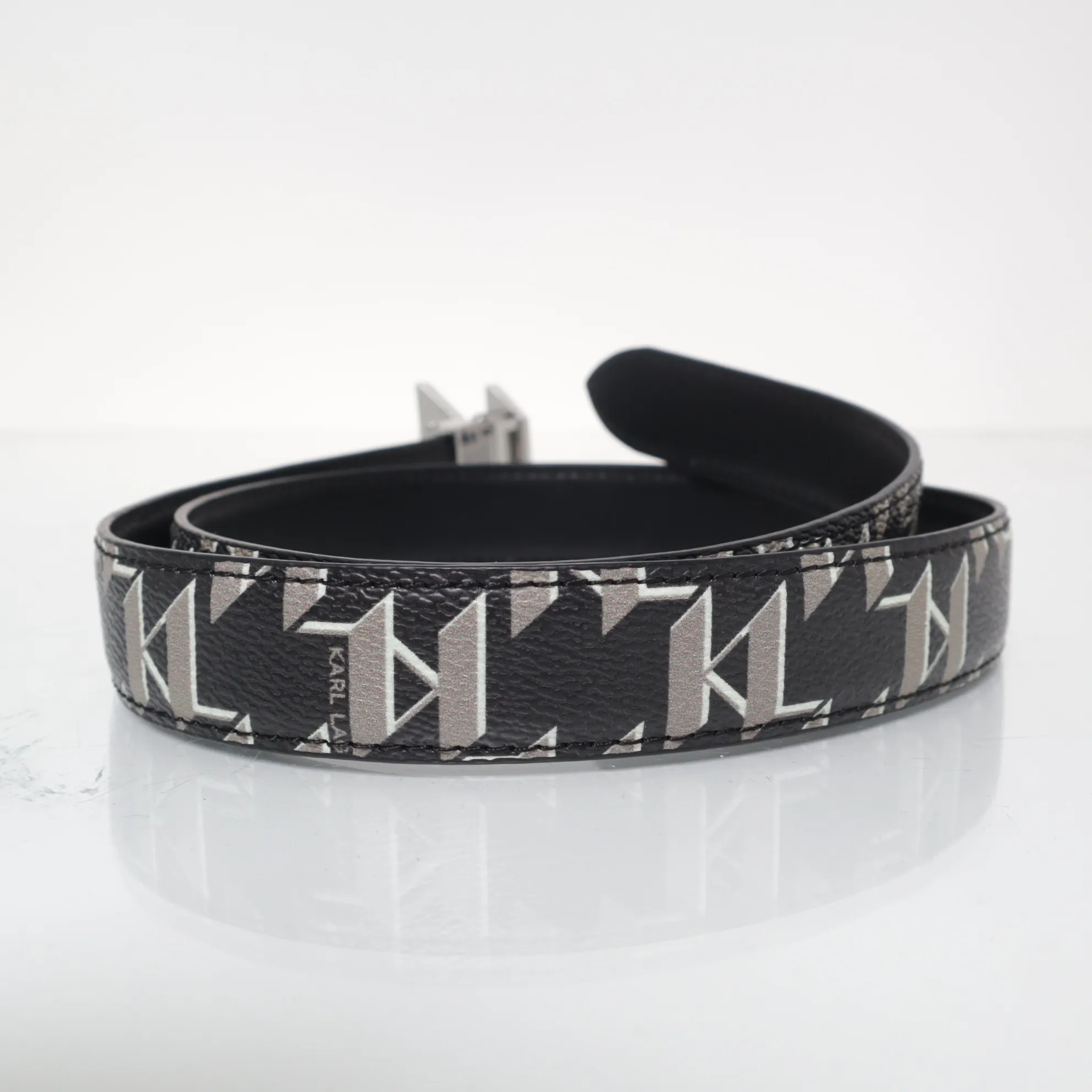 Karl Lagerfeld - bild 2