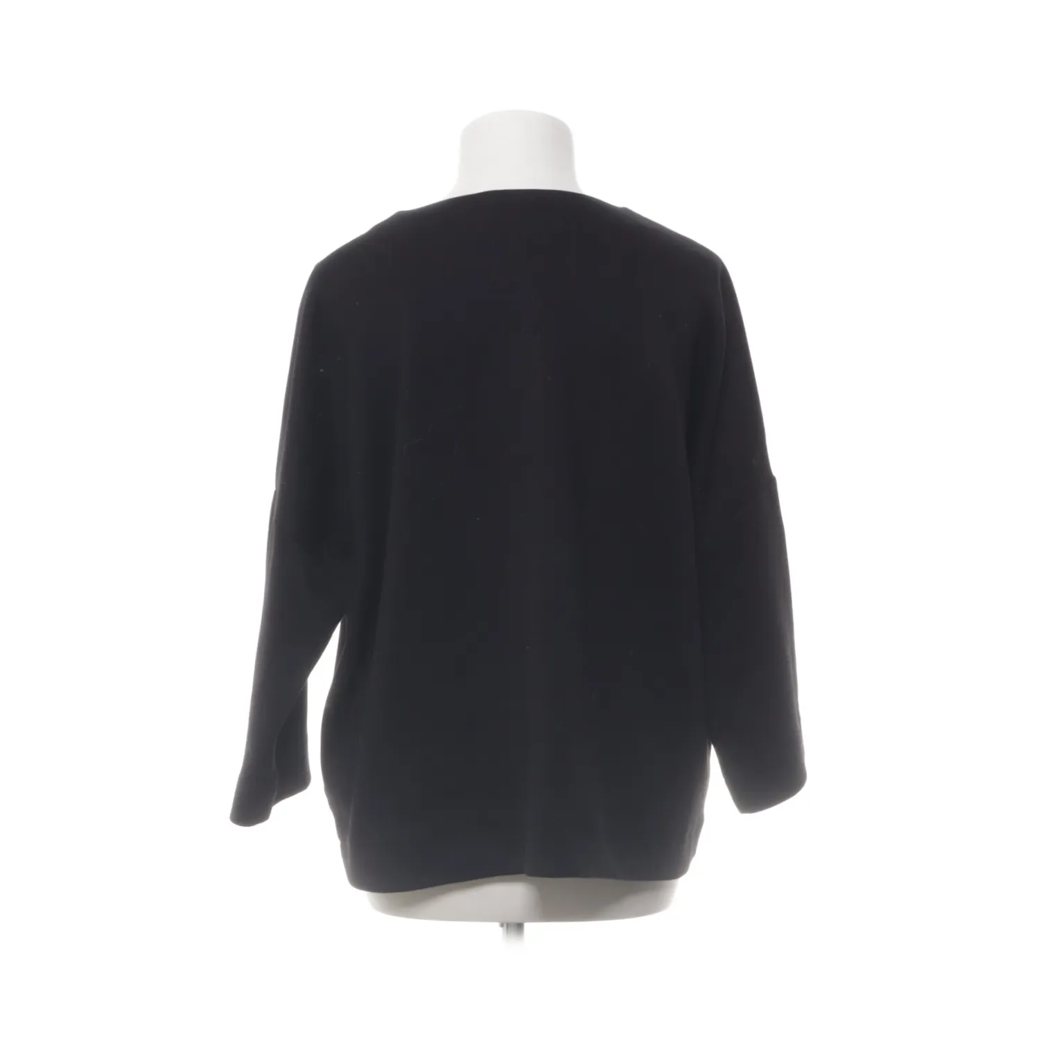 Carin Wester - bild 2