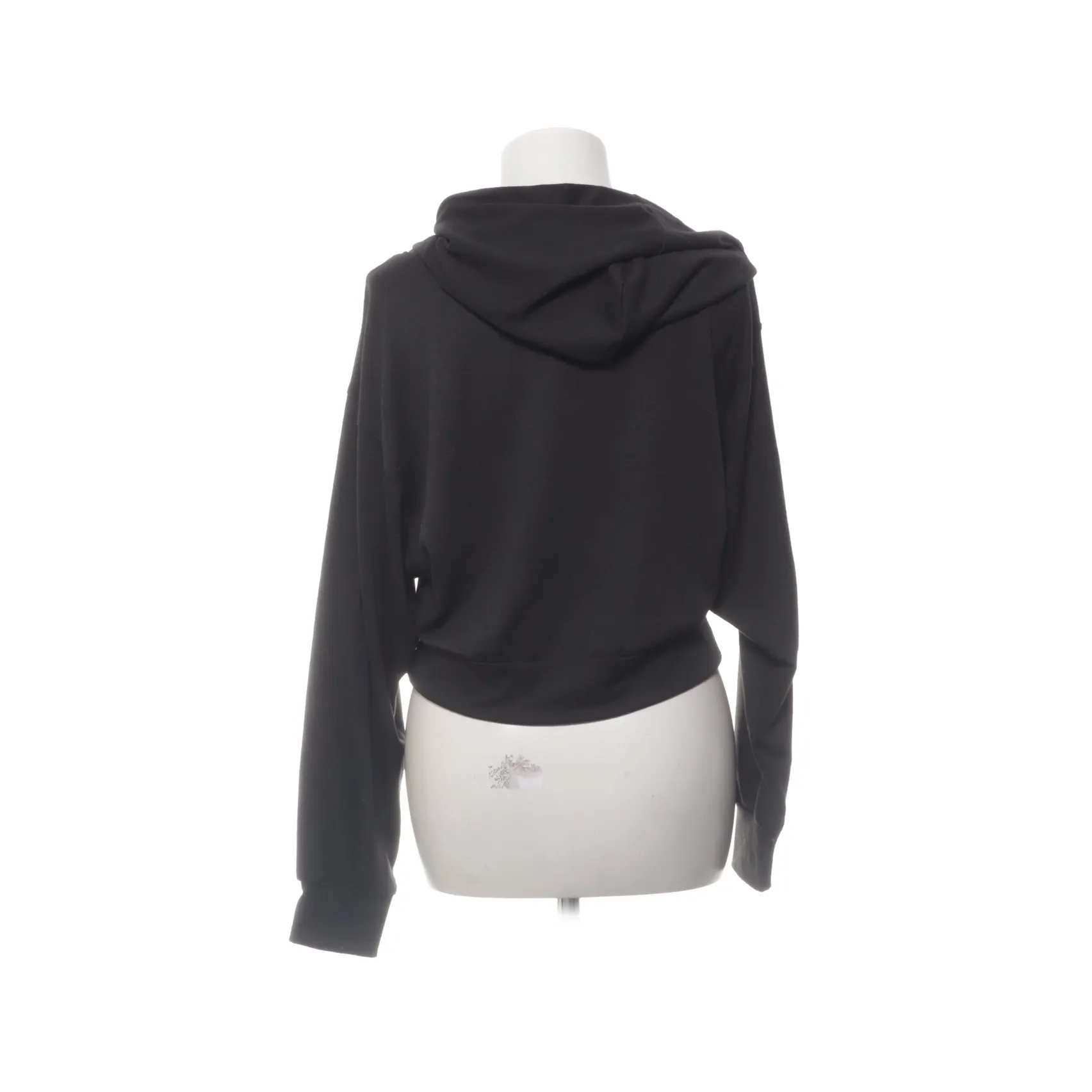 Luna Poumian - bild 2