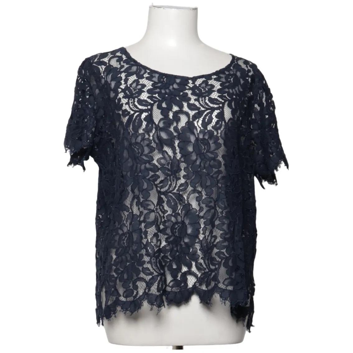 Princess Goes Hollywood