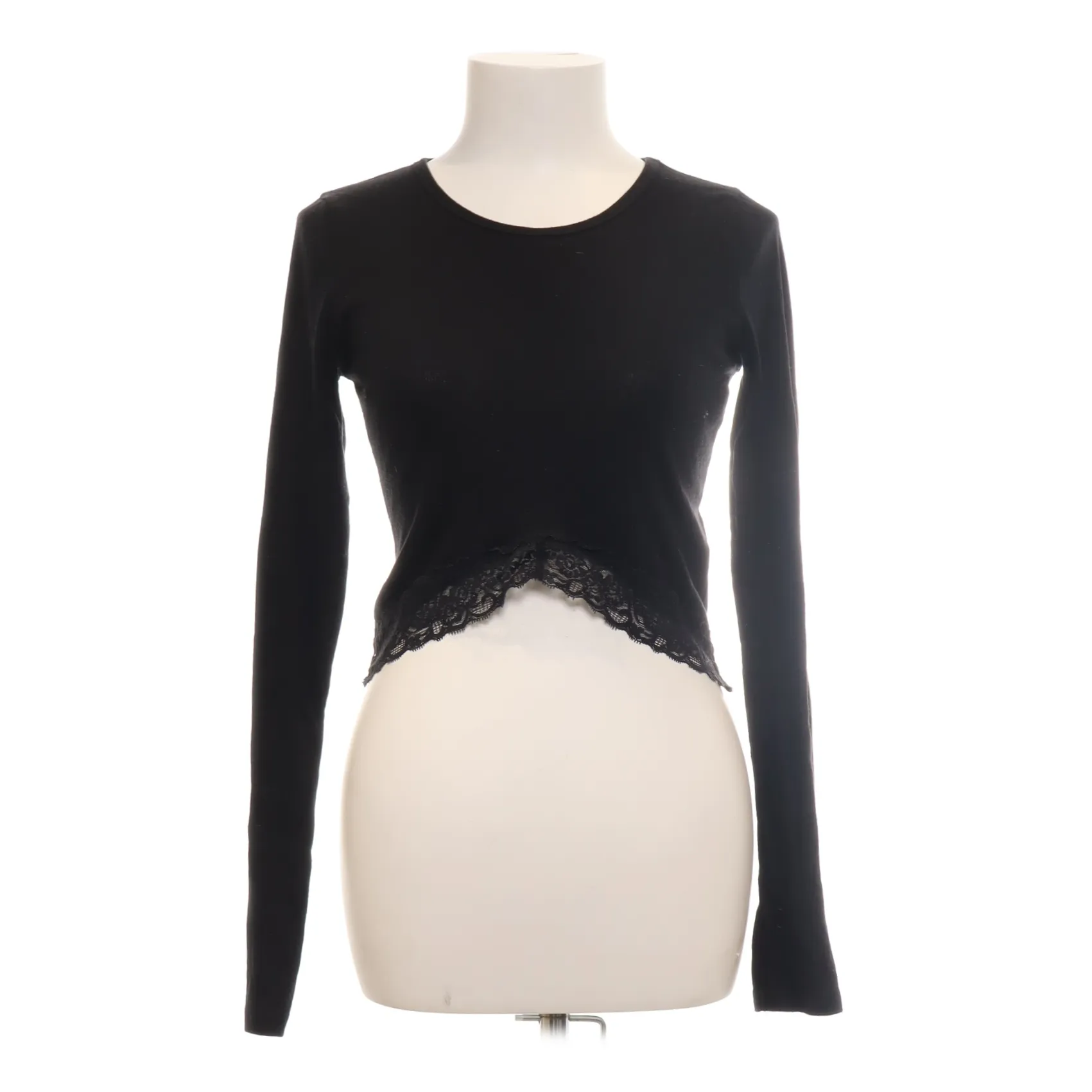 Hollister - Crop Top - WMN-INT-S