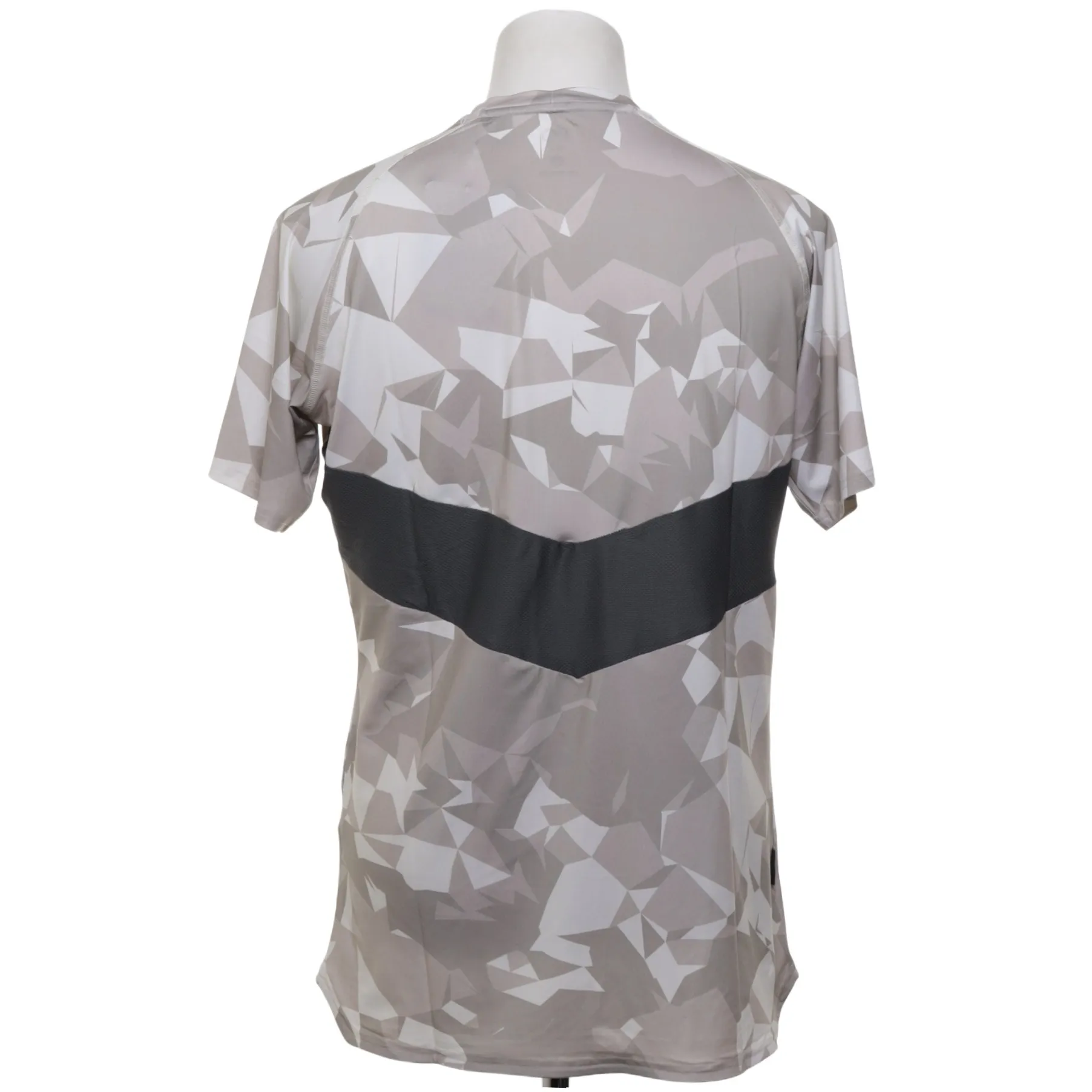 Gym Aesthetics - bild 2