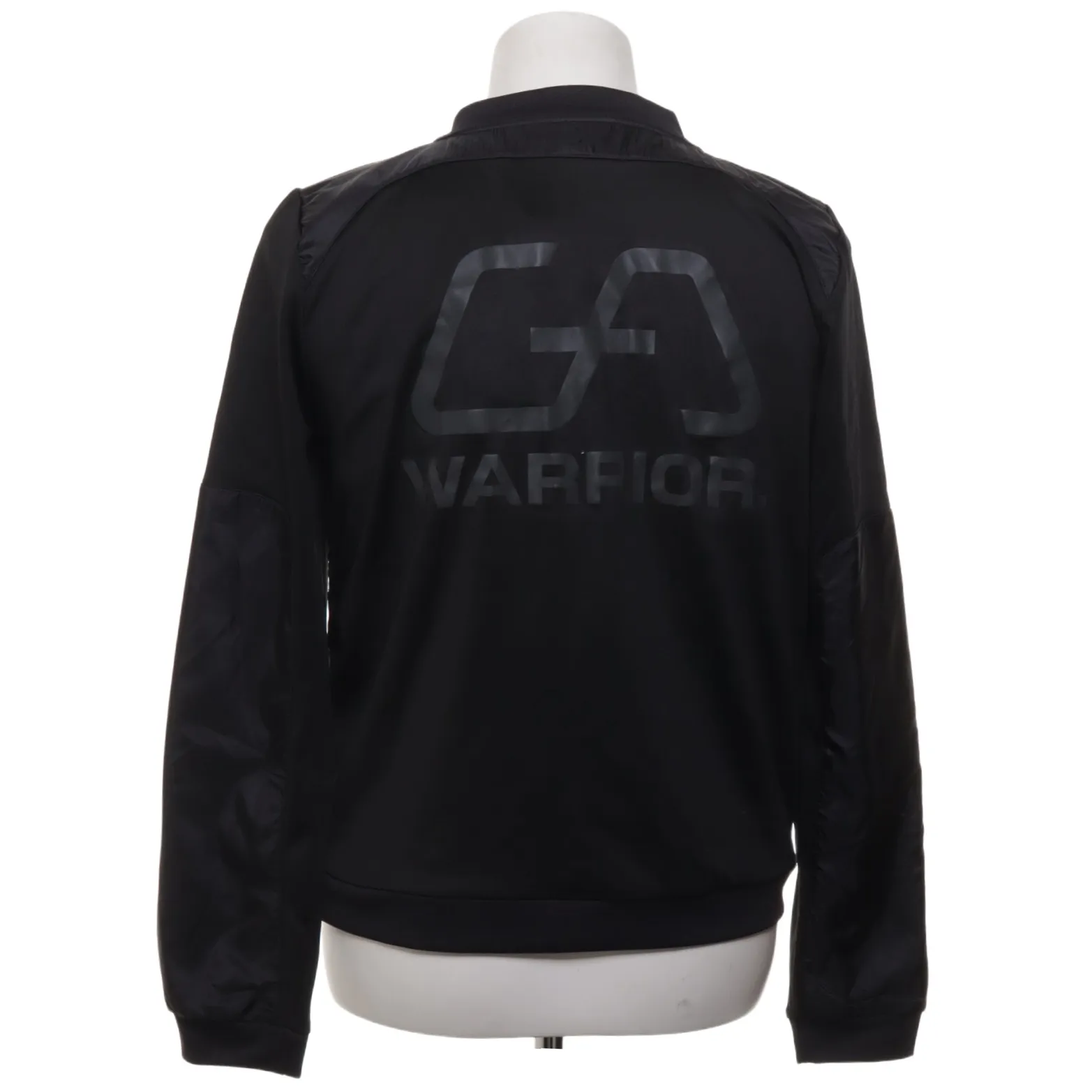 Gym Aesthetics - bild 2