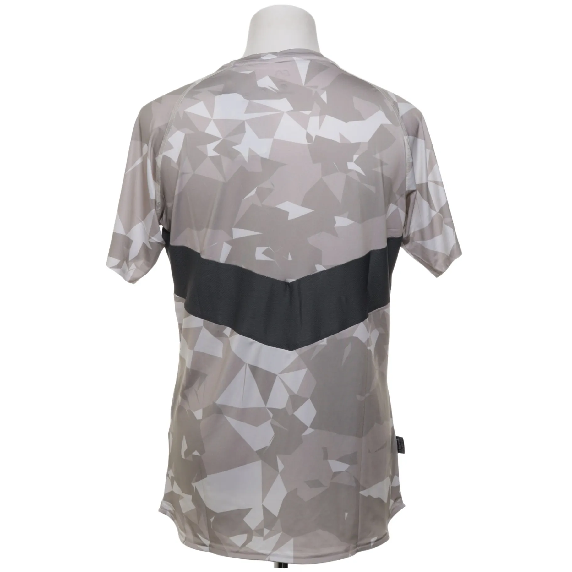 Gym Aesthetics - bild 2