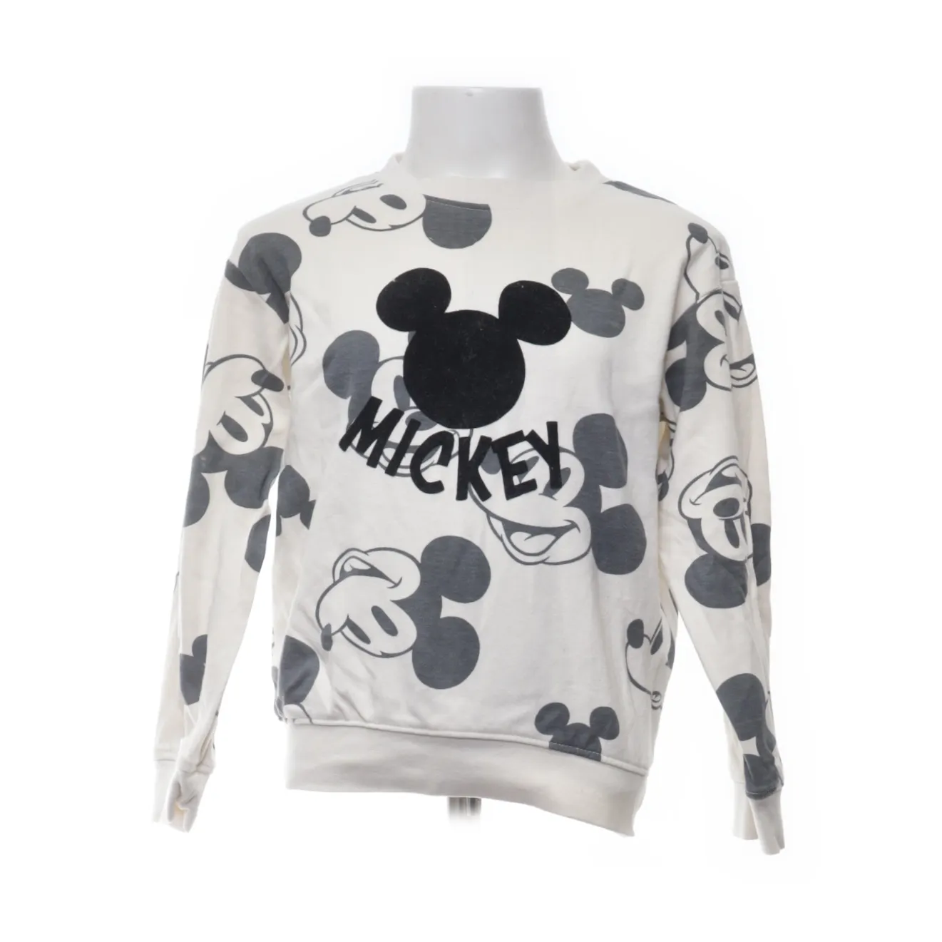 Disney Mickey and Friends