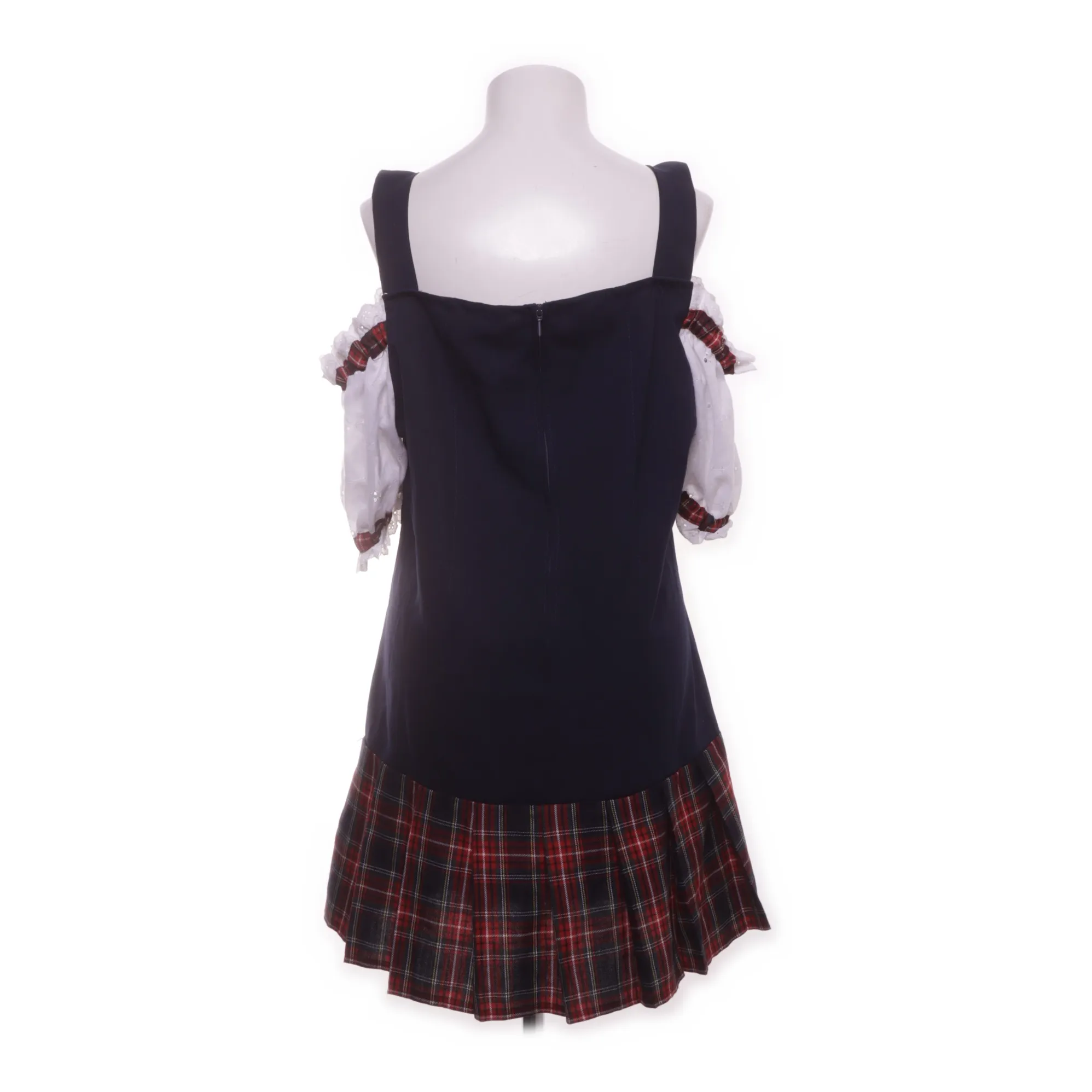 Karneval Swierts - bild 2