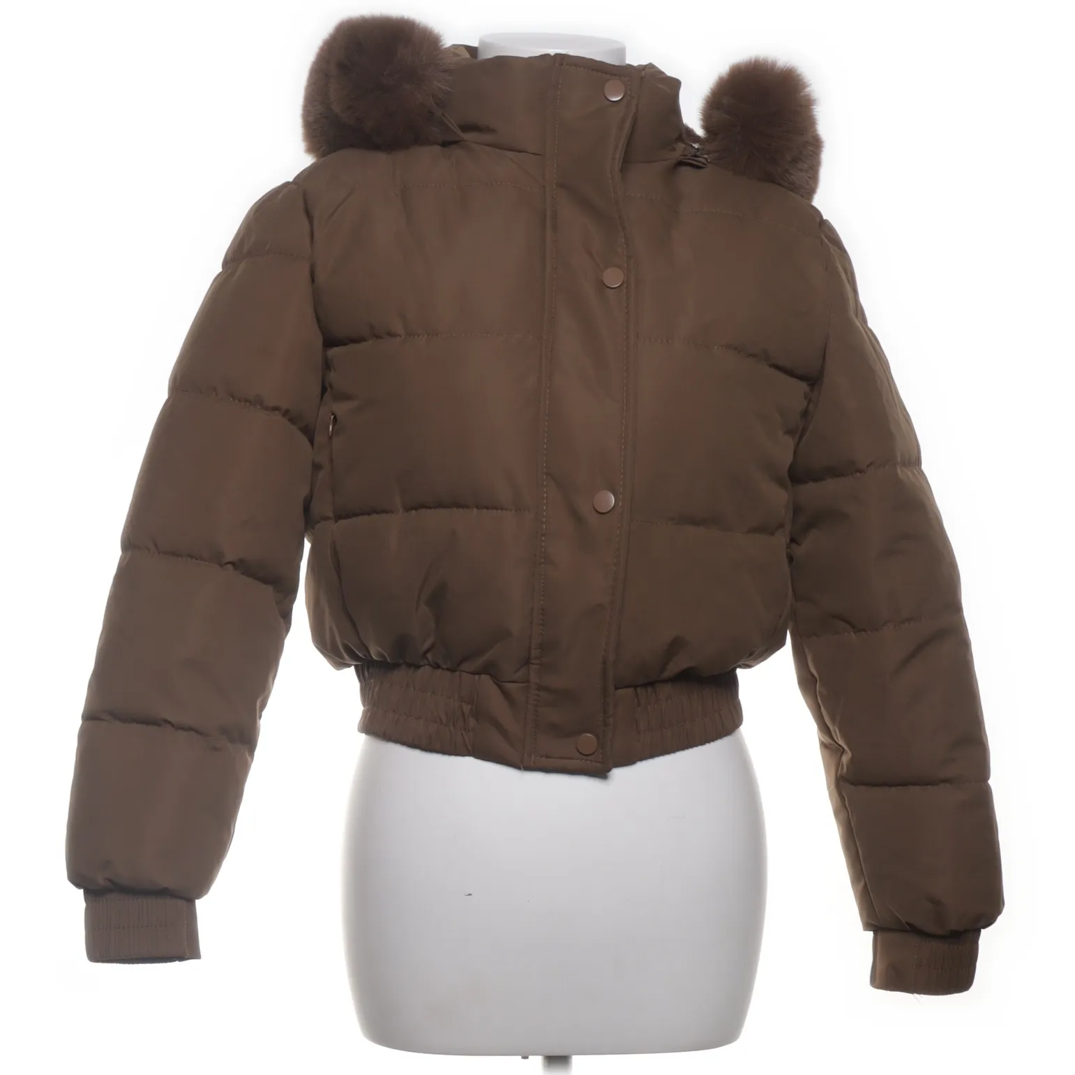Winterjacke - WMN-INT-M