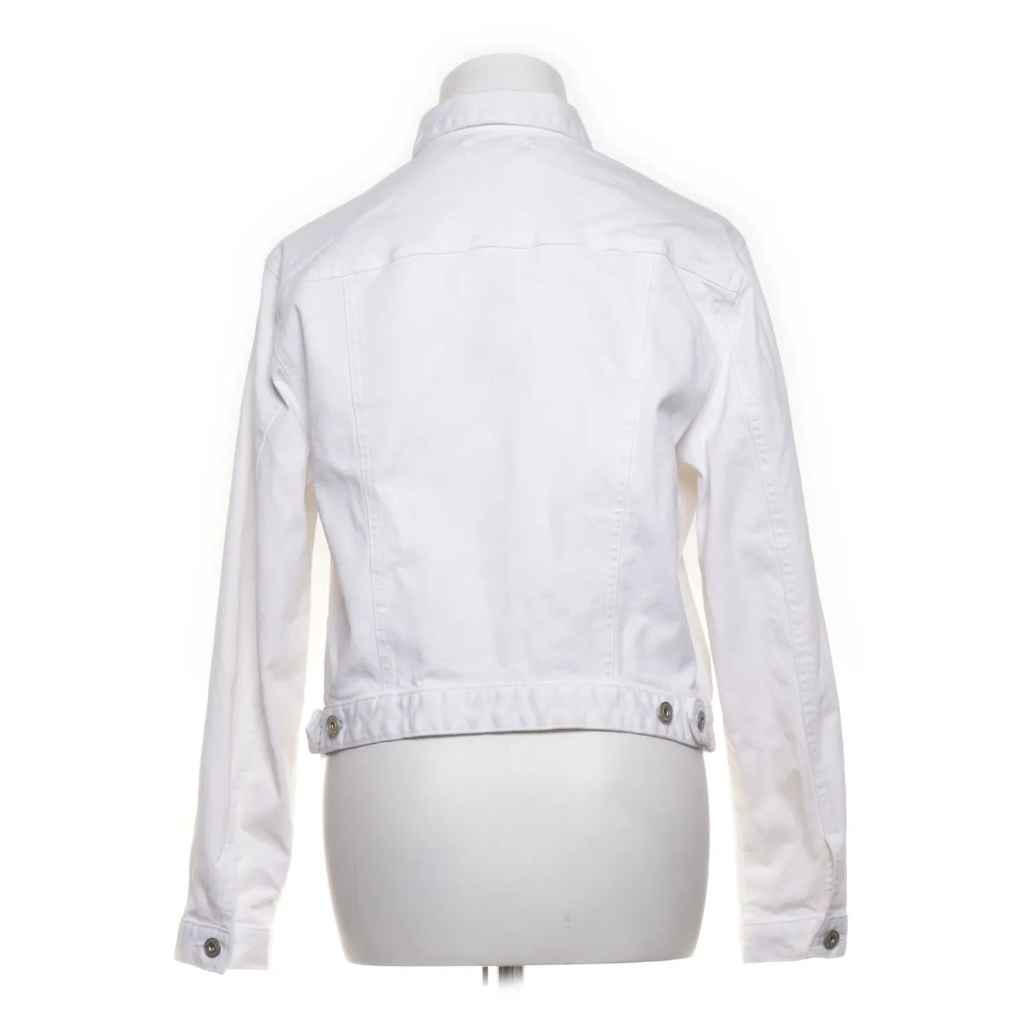 Hampton Republic - bild 2