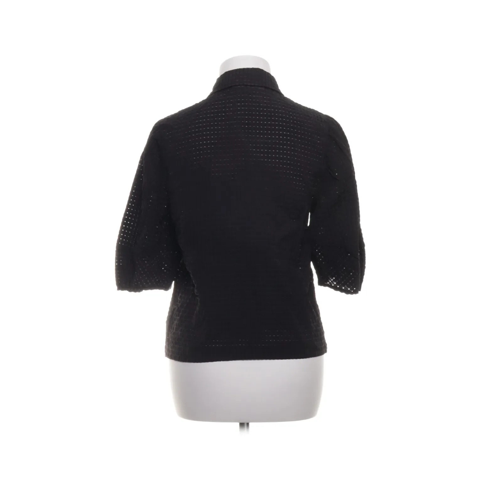 Carin Wester - bild 2