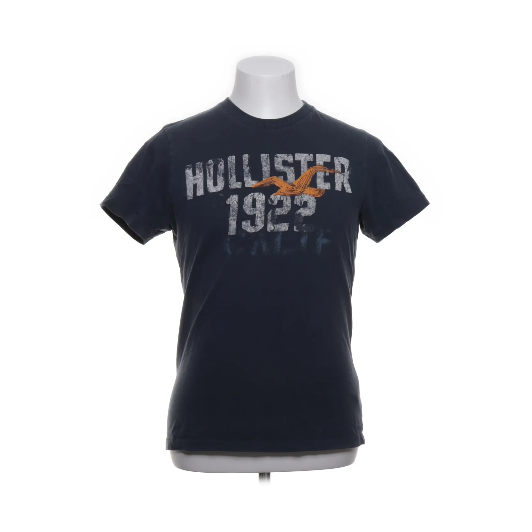 Hollister