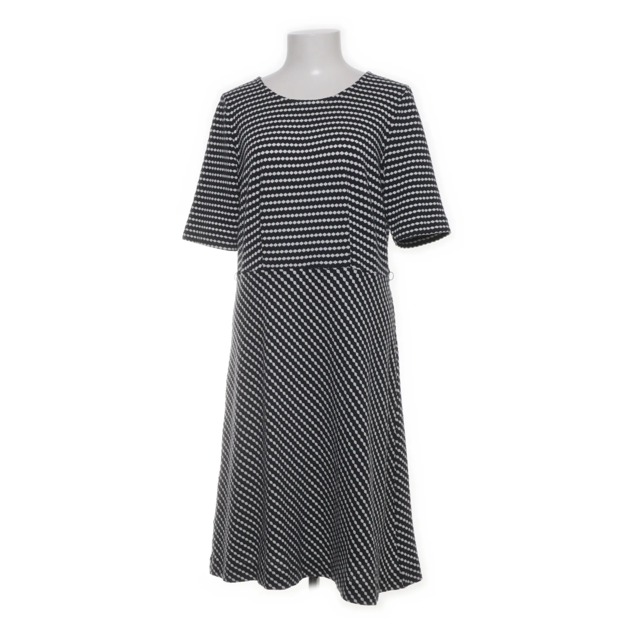 American English by Park Lane