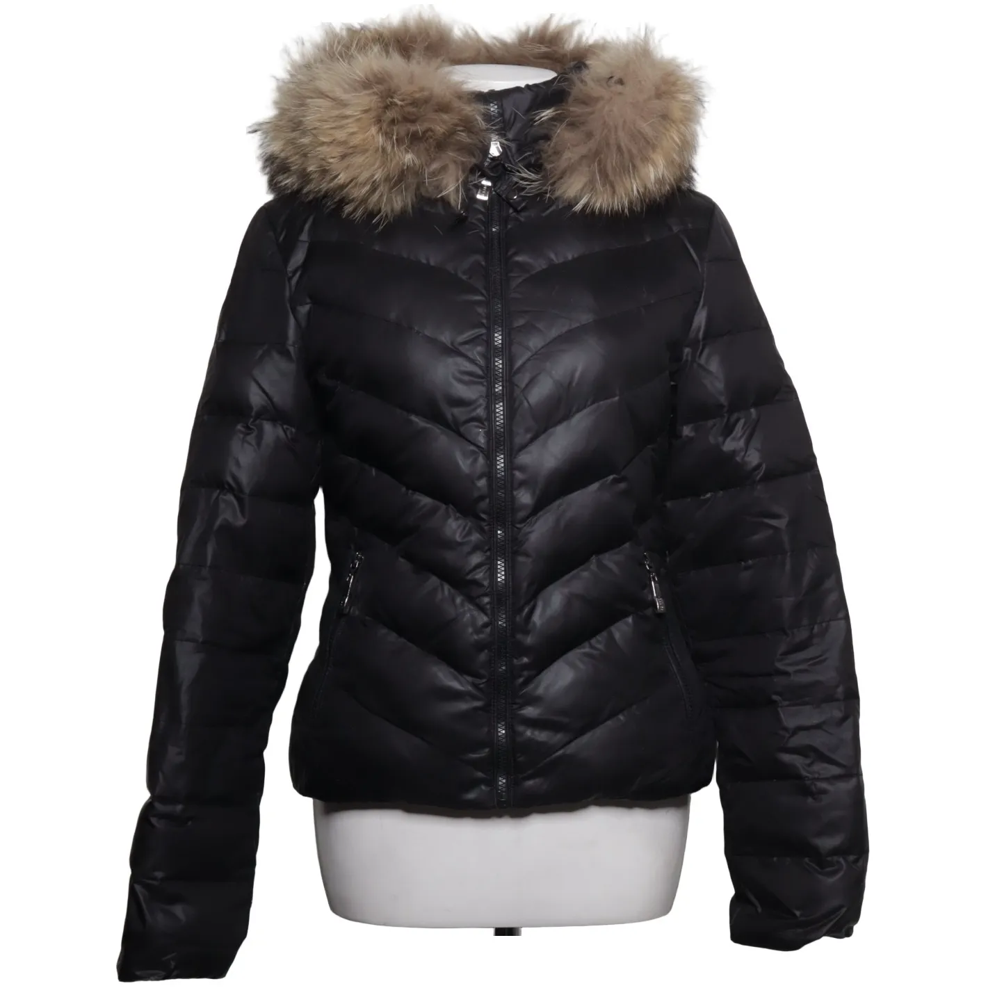 Hollies - Winterjacke - WMN-EU-36