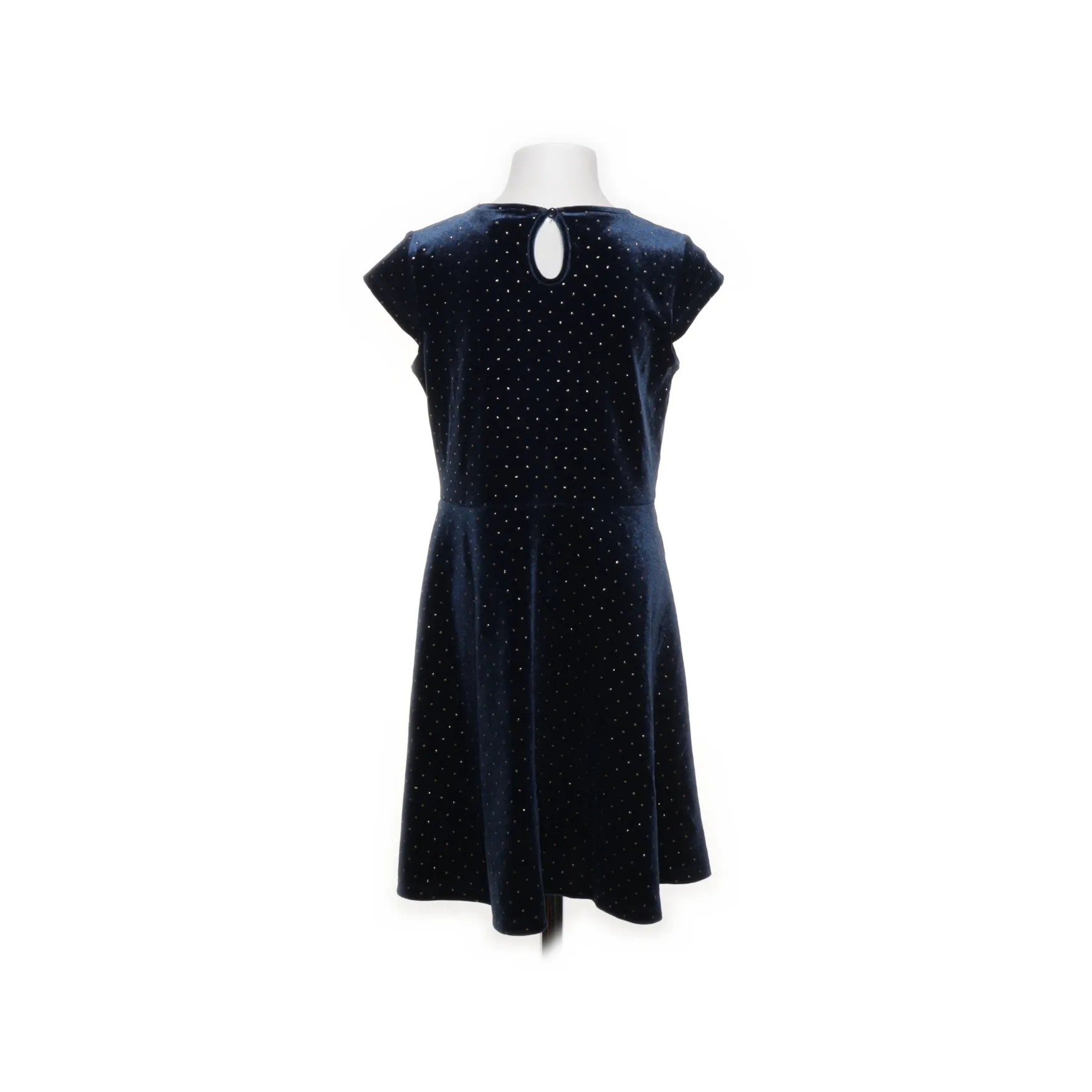 Hampton Republic - bild 2