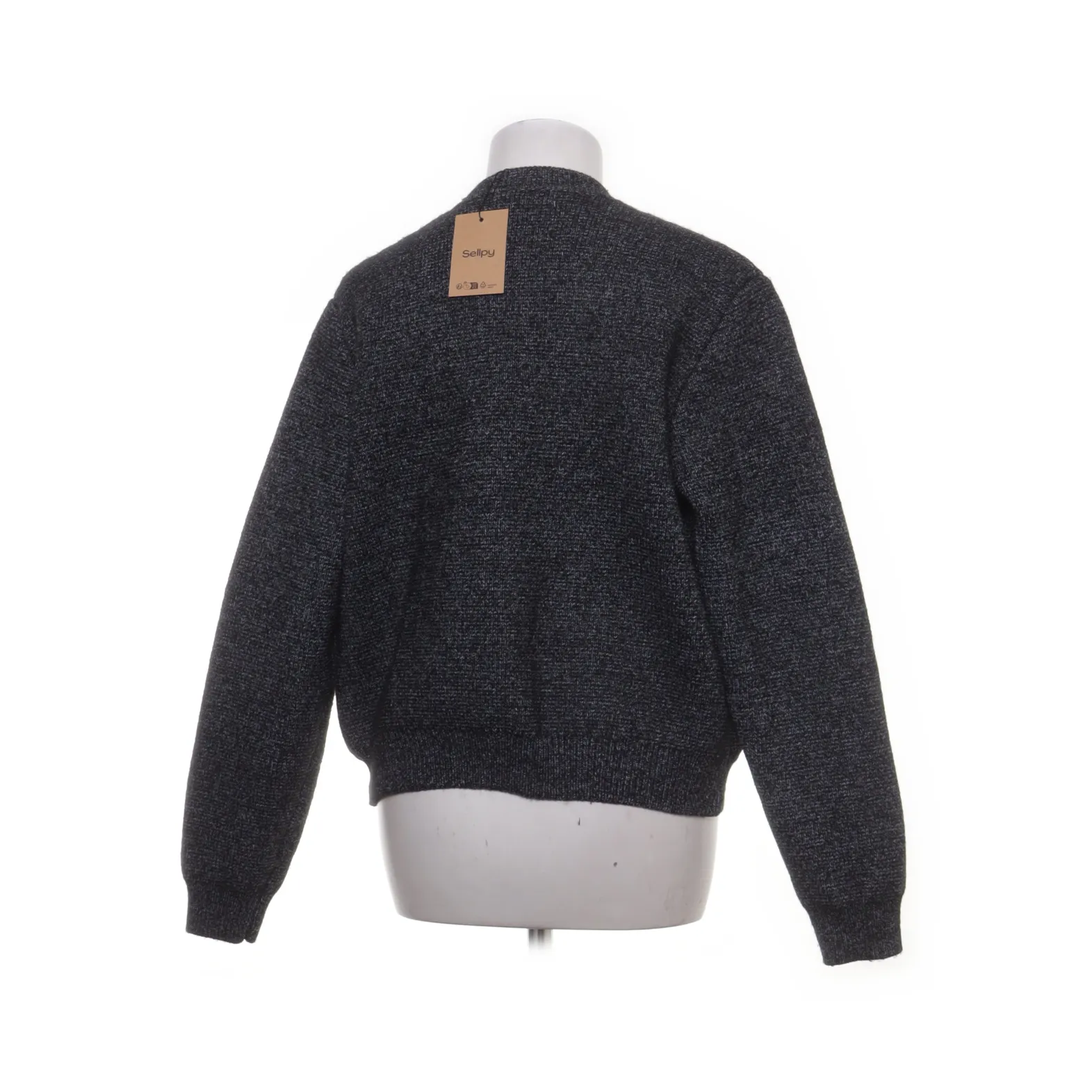 Carin Wester - bild 2