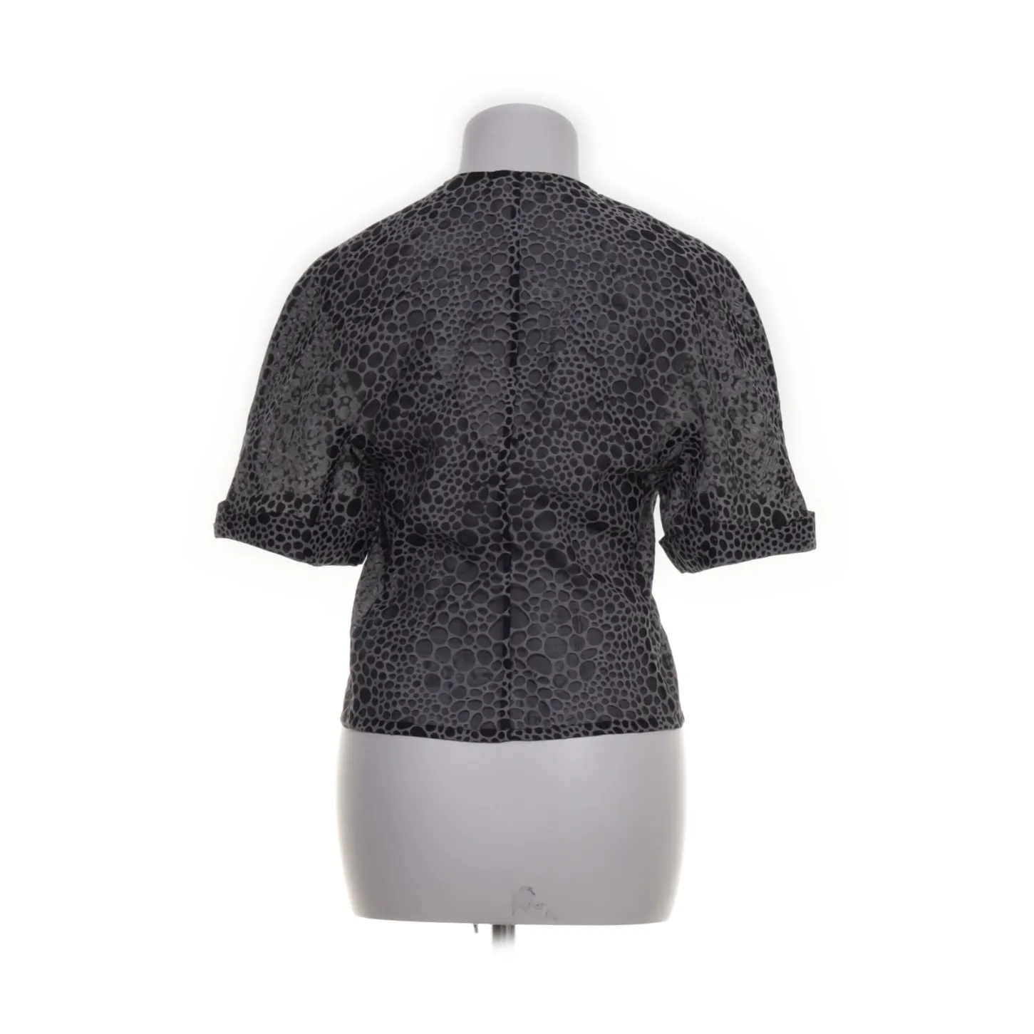 Carin Wester - bild 2