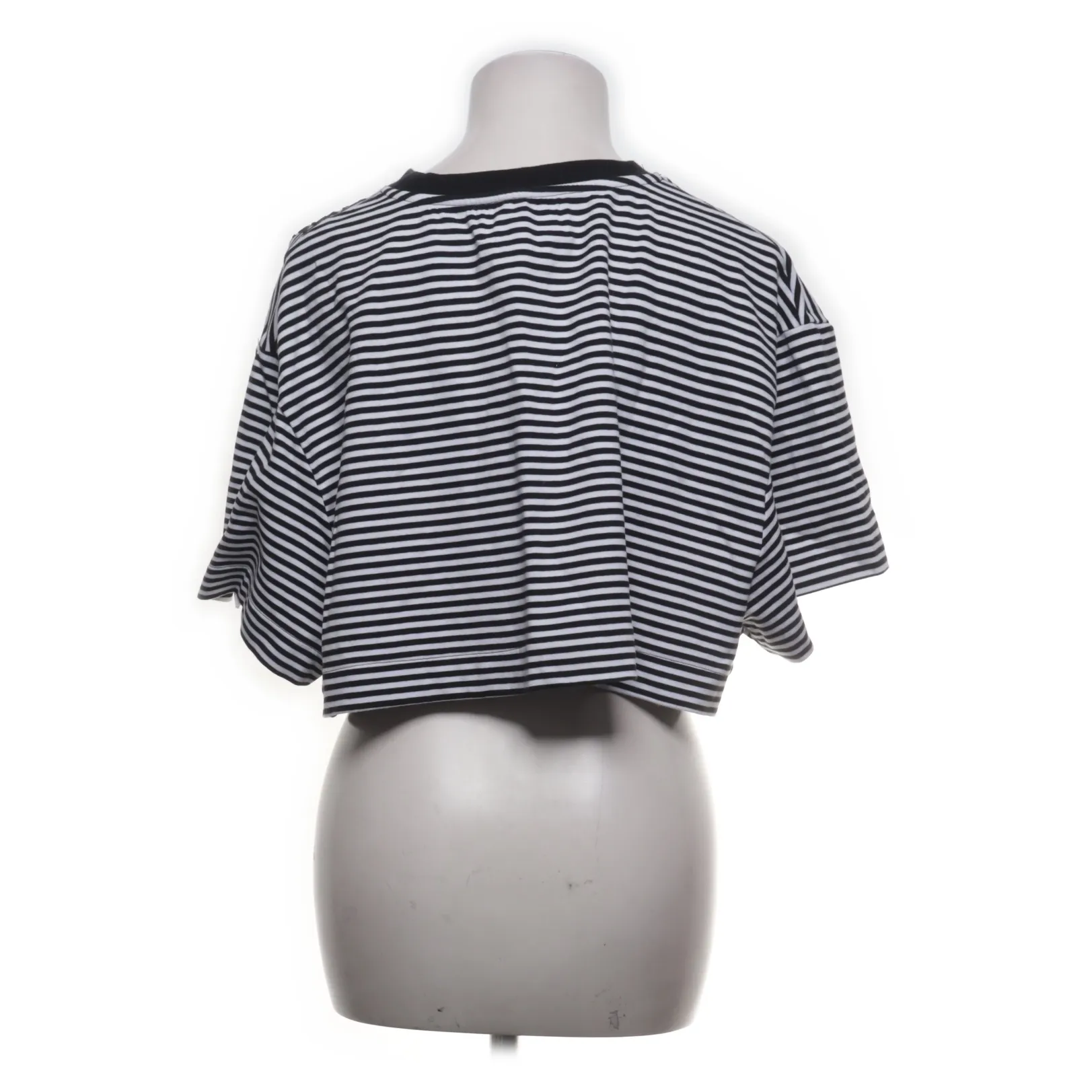 VIVAL Studio - bild 2